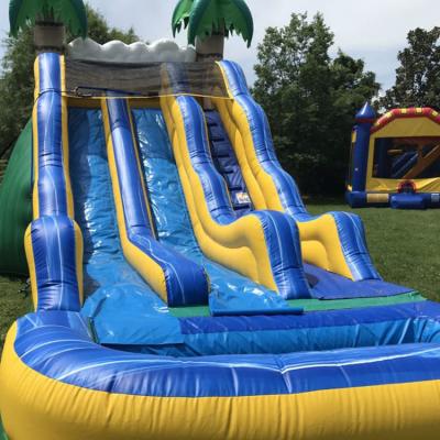 China Big Insulated Pastel Inflatable Big Kidz Outdoor Business Entertainment Slide With Water Pool for sale