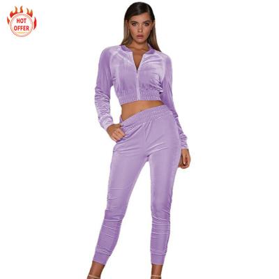 China Anti-Wrinkle Custom 100% Polyester Zipper Crop Sport Sweater Jogger Jogger Jogger Set Plus Size Sweatshirts Women's Hoodie for sale