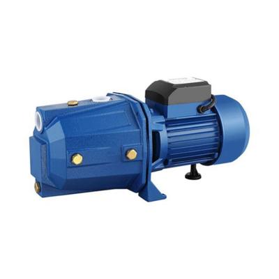 China Widely Used Family Houses Special Design Pressure Irrigation Surface Water Pump Wholesale for sale