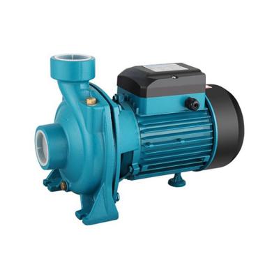 China Other Professional Manufacture Cheap Garden Water Well Electric Pump Surface for sale