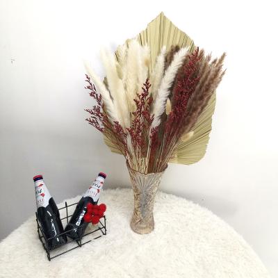 China Plume High Quality Stem Pampas Natural Home Fluffy Natural Home Decor Touch Dry Palmette for sale