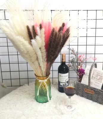 China Total 40 Pcs Natural Fluffy Stem High Quality Decoration Dried Short Pink Pampas Grass for sale