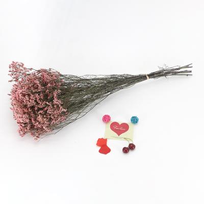 China Wholesale Modern Ornaments Other Real Home Decor Eternal High Quality Fashion Natural Home Pink Dried Crystal Grass for sale