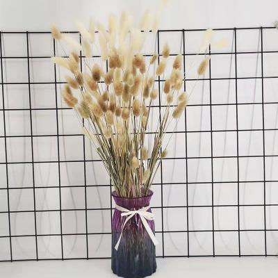 China Sustainable INS Factory Supply Dried Flowers Bunny Tail Grass Multi Color DIY Lagurus Beautiful for sale