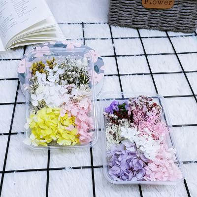 China Amazon Romantic Top Selling Decorations Natural Mixed Dried Flowers In A Box for sale