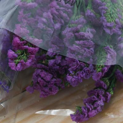 China Decoration RTS Preserved Myosotis Forget Me Not Long Lasting Dried Flower Flower For Modern Valentine's Gift Or Decor for sale