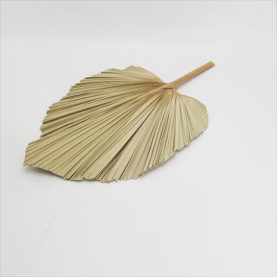 China Natural Touch RTS Plant provide dried palm leaf flowers for ready to ship wedding decoration. for sale