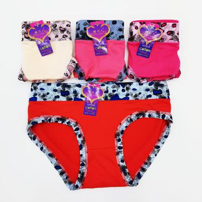 China Ladies Anti-wrinkle Panties Leopard Print Milk Silk Comfortable Breathable Briefs Factory Wholesale Direct Sales for sale