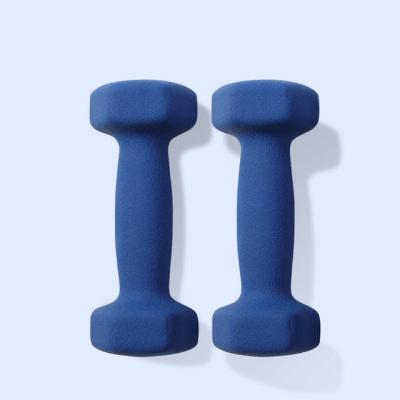 China Home Use China Factory Sale York Dumbbell Set Handsome Neoprene Dumbbells For Kids for sale