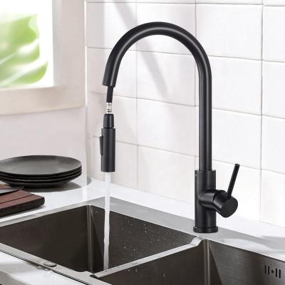 China Other kitchfaucet black stainless steel 304 water tap modern kitchen taps brass pull out sprayer kitchen mixer sink faucets for sale