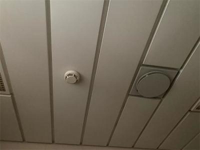 China Lanas de roca Marine Ceiling Panels Thickness 0.6m m en venta