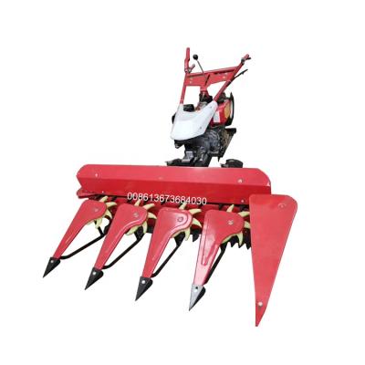 China Walking Type High Producitivity Rice Machine Small Wheat Harvest Machine And Cutter And Wheat Harvest for sale