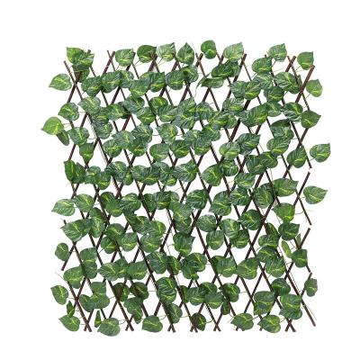 China Environmental Friendly And Pollution Free Expandable Ivy Privacy Screen Retractable Fence Sheet for sale