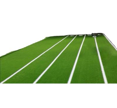 Chine Gymnasium Private Teaching Gym Sports Waterproof Artificial Lawn Gymnasium Sled Indoor Mat Grass à vendre