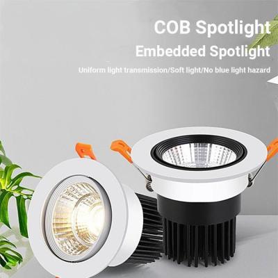 China Adjustable Angle Spotlight 12W/20W/30W Cob LED Downlight for Shopping Malls Clothing for sale