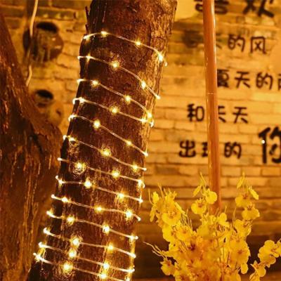 China 3V LED Light String Starry Atmosphere Decorative Solar Light Strip 5 Meter IP66 Outdoor for sale