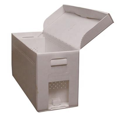 China Recyclable Plastic Bee Hives , Corflute PP Plastic Bee Hive Box for sale