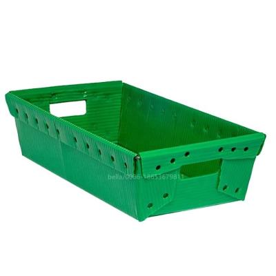 China Recyclable Corrugated Plastic Mail Tray for sale