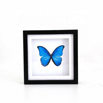 China Holiday decoration & Customized Hot Sale Gothic Black Deep Square Wooden Gift Butterfly Frame Wall Art 3D Shadow Boxes Photo Frames for sale