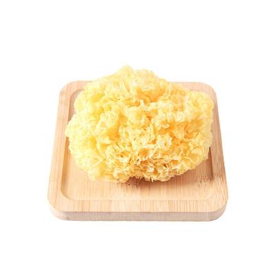 China Wholesale 2022 New Factory Organic Chinese Traditional Dry White Tremella Fuciformis Snow Fungus Mushroom for sale