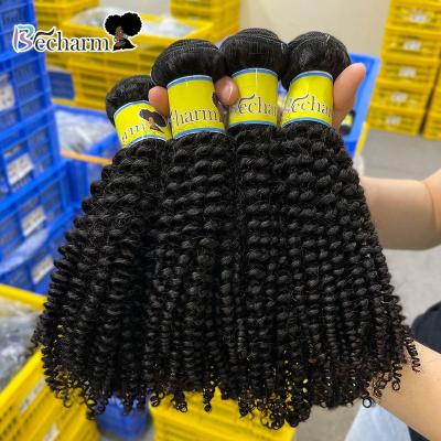 China Free Sample Curly Mink Brazilian Human Virgin Hair Curly Bundle, 10a Mink Raw Bundle Hair Vendor, Raw Virgin Brazilian Cuticle Aligned Hair for sale