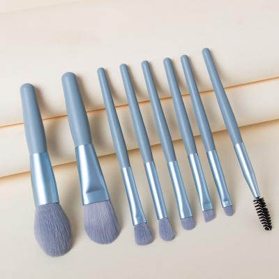 China Soft Touch New 8pcs Mini Makeup Brushes with Matte Portable Soft Hair Makeup Brush Set with Bag Beauty Tools for sale