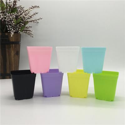 China Super Square Plastic Flowerpot Container Small Pots Color Modern Cheap Succulents Small Square Succulent Plants Small for sale