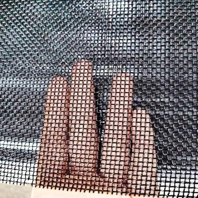 China Plain Weave 10 Mesh Black Color Powder Coated Stainless Steel 304 316 Crime Window Safe Door Mesh Security Screen for sale