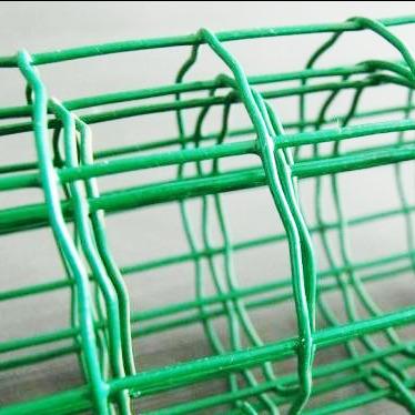 China Plain Weave Cheap Price PVC Coated Holland Welded Wire Mesh Fencing For Agriculture for sale