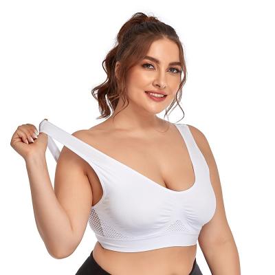 China Antibacterial Plus Size High Mesh Print White Halter Sports Bra Top Sports Bra For Women for sale