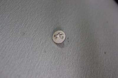 China Plating Metal Bowknot Pattern Custom Clothing Buttons , 14L 22L 26L for sale