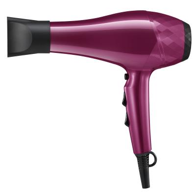 China Other 2022 Powellercosmo New Design AC Motor 2400W High Power 2 Speed ​​Professional Hair Dryer for sale