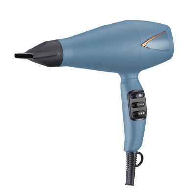 China Other Powerful Ionic Quick Drying Professional Hair Dryer 2300w Blow Dryer for sale