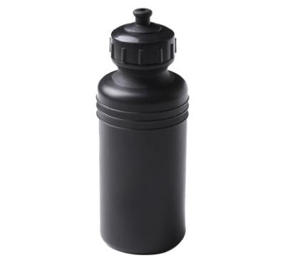 China Sustainable Plastic PE Sport Drinking Bottle C6013 for sale