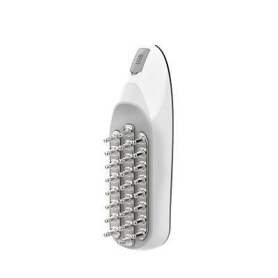 China Multifunctional Beauty Equipment EMS RF Massage Comb Electric Hair Growth Care Vibration Massager Brush For Home Use for sale