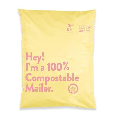 China Strong Adhesive Opaque/Tear-proof/Nice Printing Padded Custom Logo Logo Printing Custom Logo Wholesale Poly Ads Small Bags Biodegradable Biodegradable for sale