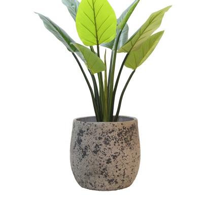 China Exquisite and small flowerpots exquisite and small flowerpots can be sold in sets fiber cement flowerpots can be customized for decoration for sale