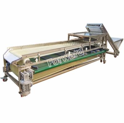 China Factory Low Price 5 Grade Apple Potato Grading Dates Fruit Sorter Fruit and Vegetable Sorter for sale