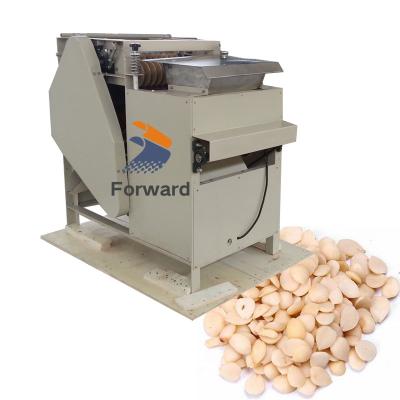 China Factory price 200kg/h commercial almond wet peeling machine, peanut soybean peeling machine for sale