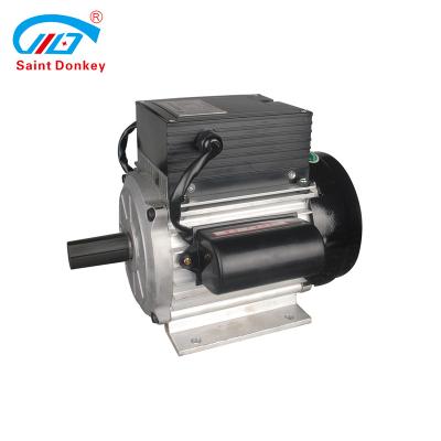 China Home Use Explosion Proof Small Donkey Saint Electric Motor for sale