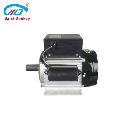 China Home Use Explosion Proof Small Donkey Saint Electric Motor for sale