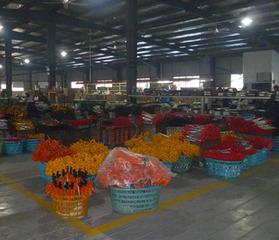 Verified China supplier - Zhejiang Oklead Auto Parts Co., Ltd.