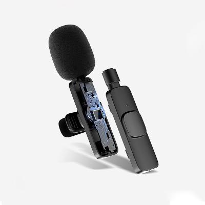 China Customized Portable Live Stream Brocasting Wireless Microphone Plug-playing Lavalier Microphone for sale