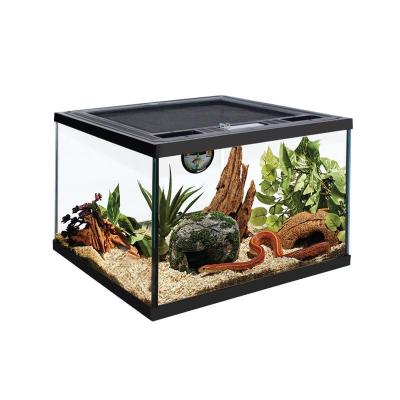 China Eco-Friendly Reptile Breathable Glass Transparent Box Mini Greenhouse Spider Lizard Tortoise Landscape Reptile Box for sale