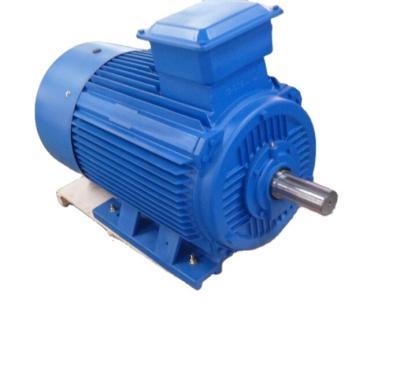 China Ye2-200L-4 30kw Squirrel-cage Totally Enclosed Cast Iron Three Phase Asynchronous Induction Electric Motor for sale