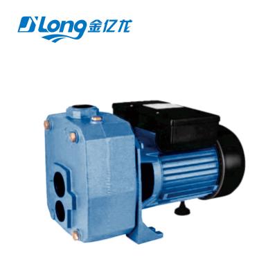 China Other home use high lift water pump for garden and irrigation DP505A 220v 1.1kw 1.5hp jet pump for deep well water pump for sale