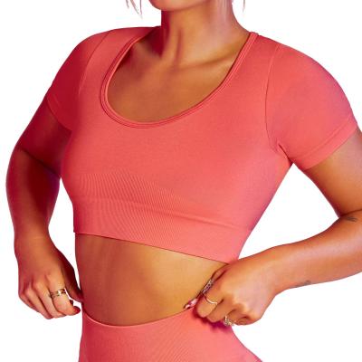 China Women's Breathable Workout Clothes Activewear Seamless Crop T-shirt Yoga Gym Fitness Tops Tops 2022 Wholesale for sale