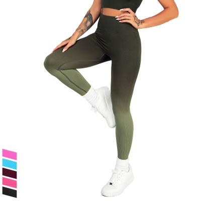 China Breathable Custom Logo Ombre Seamless High Waist Gaiters Yoga Gym Gaiters For Women for sale