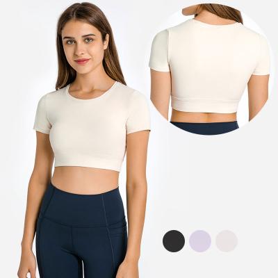 China Breathable Gym Wear Woman Summer Yoga Tops Fashionable Custom Gym Crop Top for sale