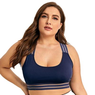 China Wholesale Mesh QUICK DRY Cross Women's Underwear Sexy Plus Size Sports Breathable Bra for sale